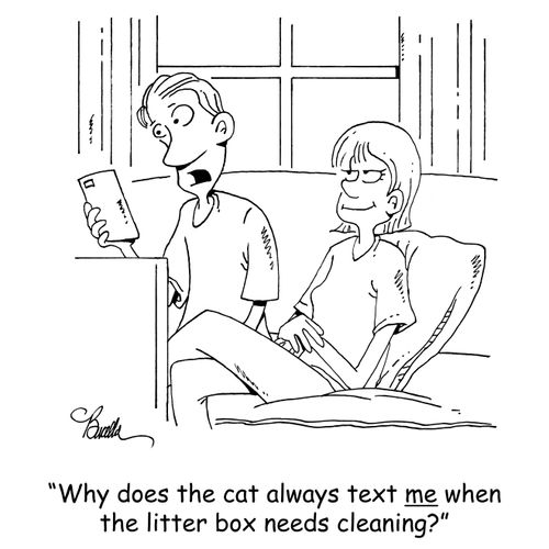 'Why does the cat always text me when the litter box needs cleaning?'