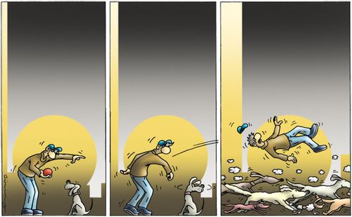 Dogs instinct