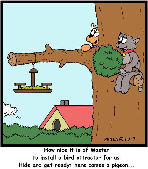 "How nice it is of Master to install a bird attractor for us! Hide and get ready: here comes a pigeon..."