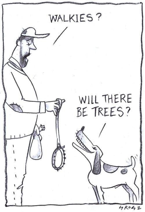 "Will there be trees?"