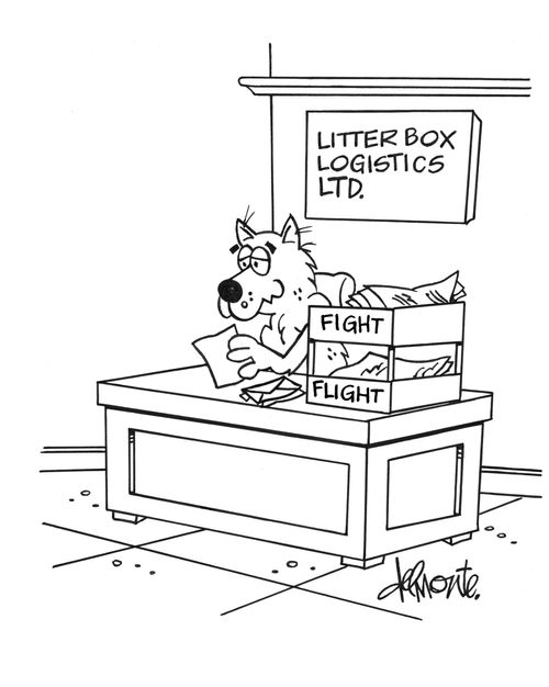 Litter Box Logistics Ltd.