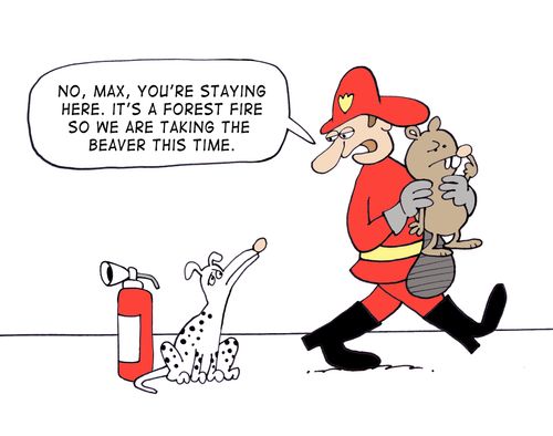 'No, Max, you're staying here. It's a forest fire so we are taking the beaver this time.'