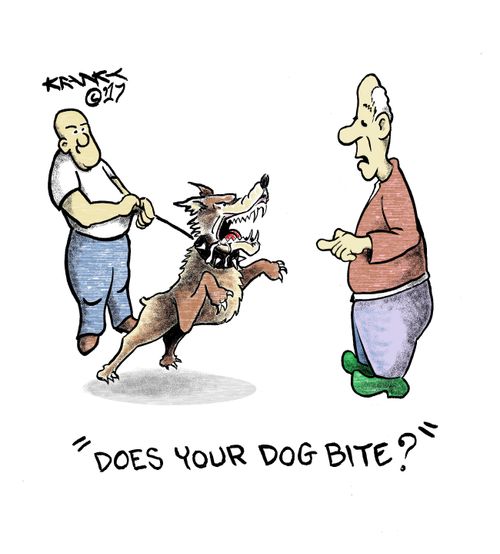 "Does your dog bite?"