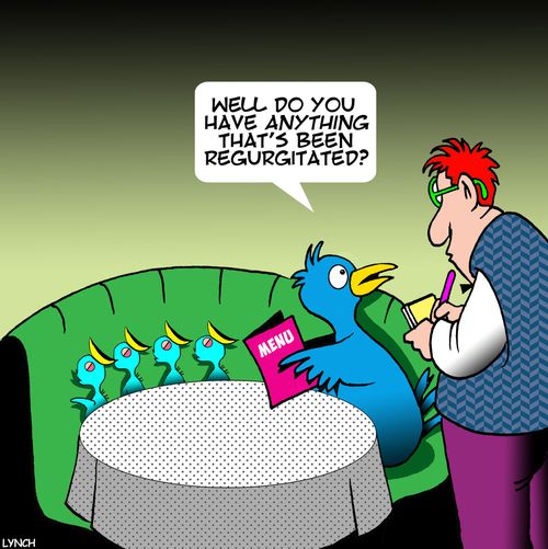 "Well, do you have anything that's been regurgitated?"