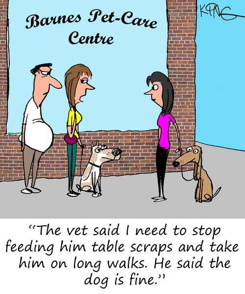 "The vet said I need to stop feeding him table scraps and take him on long walks. He said the dog is fine."