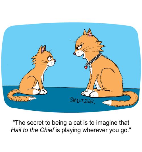 "The secret to being a cat is to imagine that Hail to the Chief is playing wherever you go."