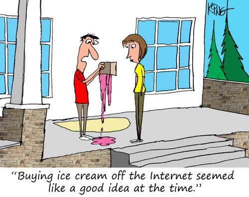 'Buying ice cream off the internet seemed like a good idea at the time.'