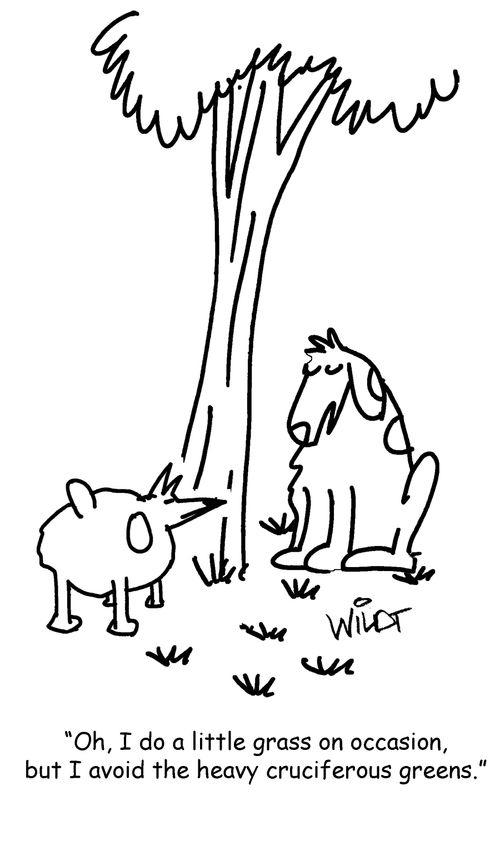 "Oh, I do a little grass on occasion, but I avoid the heavy cruciferous greens."