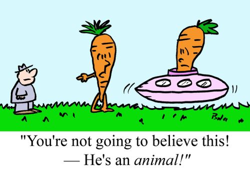 "You're not going to believe this! -- He's an animal!"