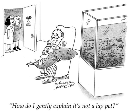 "How do I gently explain it's not a lap pet?"