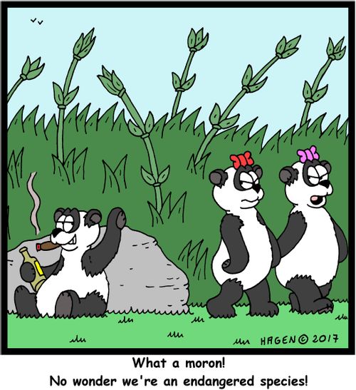 "What a moron! No wonder we're an endangered species!"