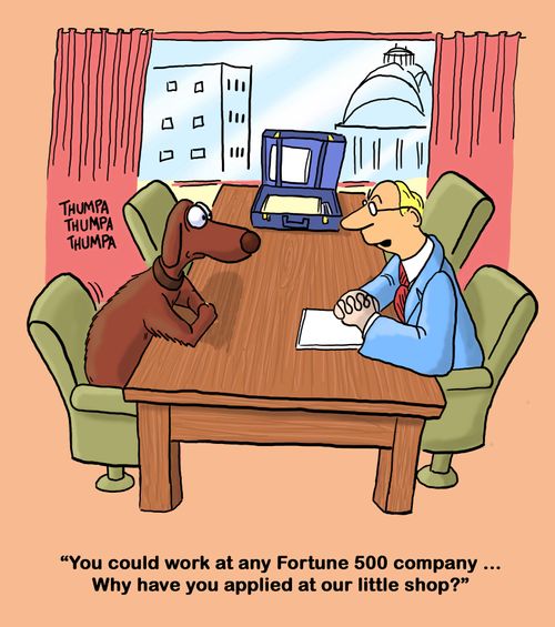 'You could work at any fortune 500 company... Why have you applied at our little shop?'