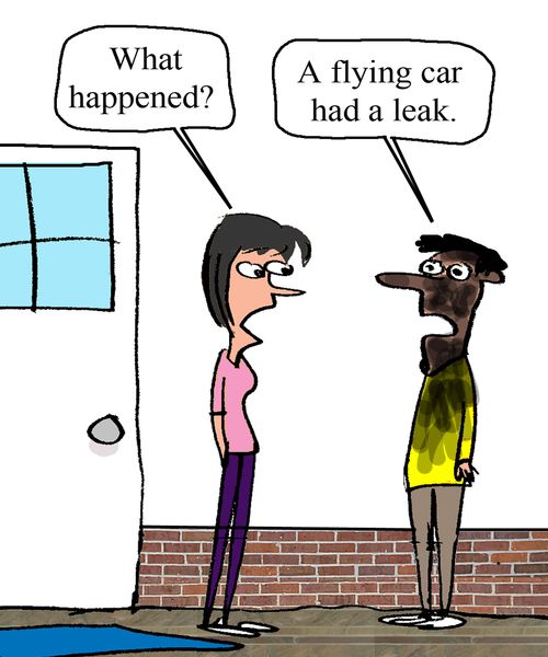 "A flying car had a leak."