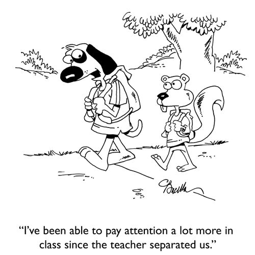 "I've been able to pay attention a lot more in class since the teacher separated us."