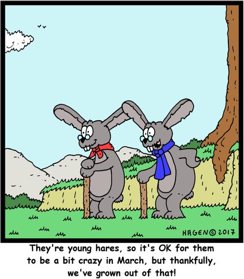 'They're young hares, so it's OK for them to be a bit crazy in March, but thankfully, we've grown out of that!'