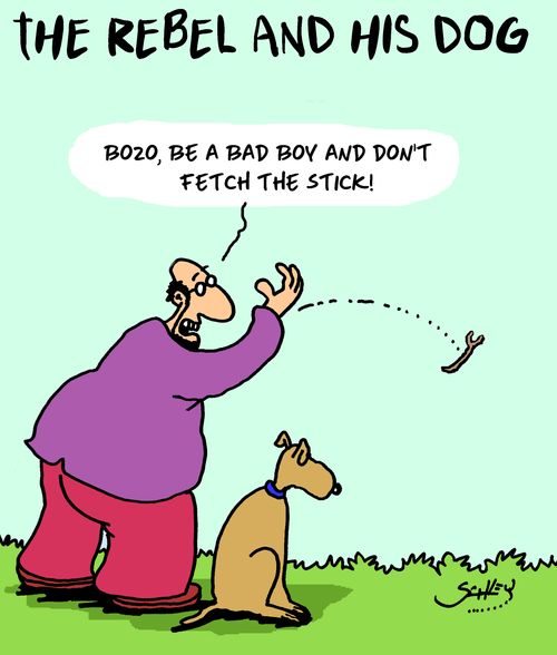 The Rebel and His Dog