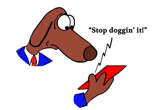 "Stop doggin' it!"