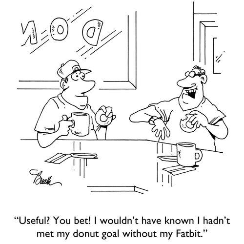 "Useful? You bet! I wouldn't have known I hadn't met my donut goal without my Fatbit."