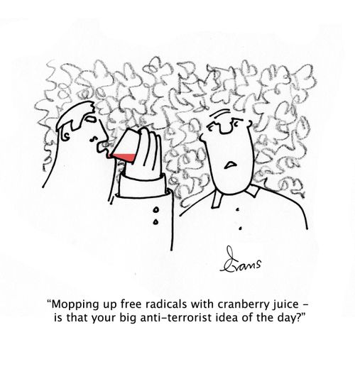 "Mopping up free radicals with cranberry juice - is that your big anti-terrorist idea of the day?"