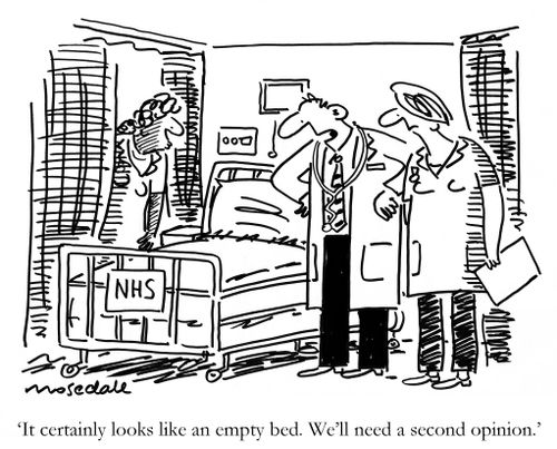 "It certainly looks like an empty bed. We'll need a second opinion."