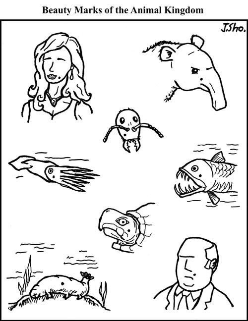 Beauty Marks of the Animal Kingdom