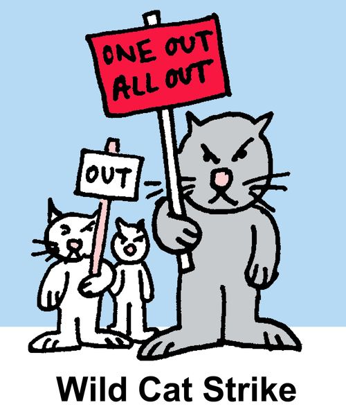 "Wild Cat Strike"
