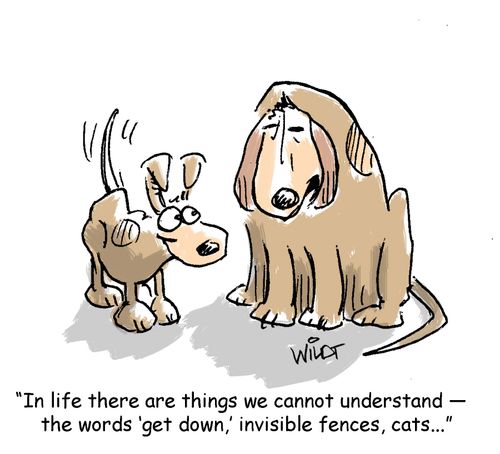 In life there are things we cannot understand â�� the words 'get down,' invisible fences, cats...