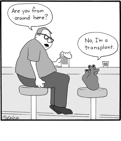 "No, I'm a transplant."