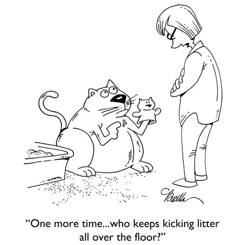 "One more time... who keeps kicking litter all over the floor?"