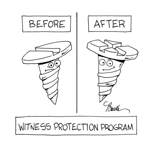 Witness Protection Program