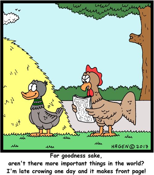 "For goodness sake, aren't there more important things in the world? I'm late crowing one day and it makes front page!"