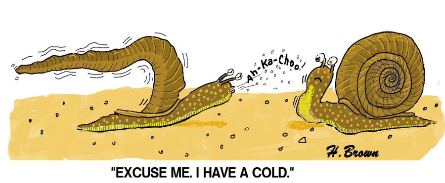 "Excuse me, I have a cold."
