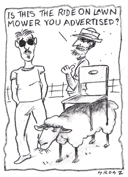 "Is this the ride on lawn mower you advertised?"