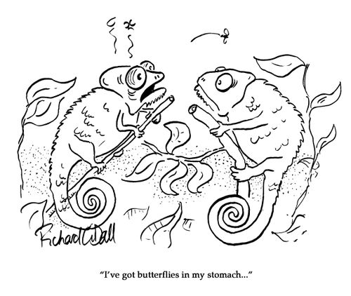 "I've got butterflies in my stomach..."