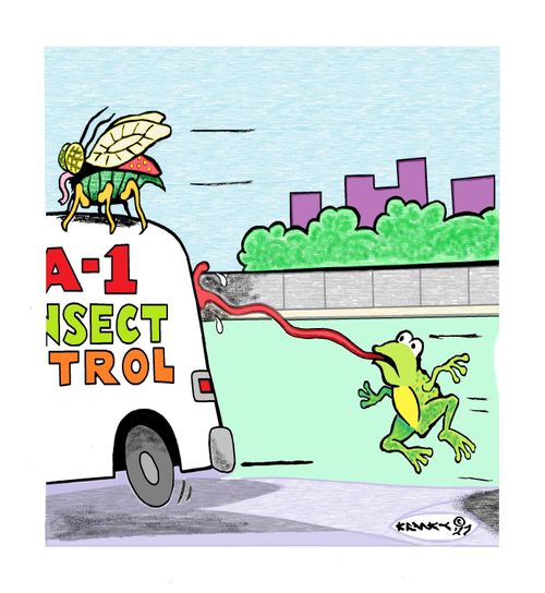 A frog catches an insect truck.
