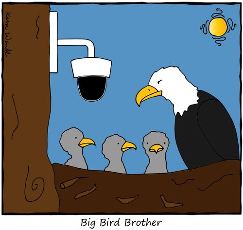 Big Bird Brother