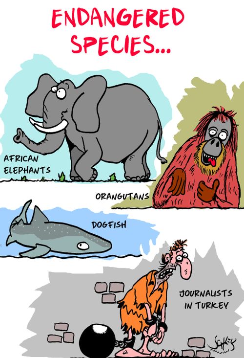 Endangered species: African elephants, orangutans, dogfish, and journalists in Turkey.