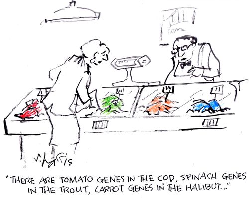 "There are tomato genes in the cod, spinach genes in the trout, carrot genes in the halibut..."