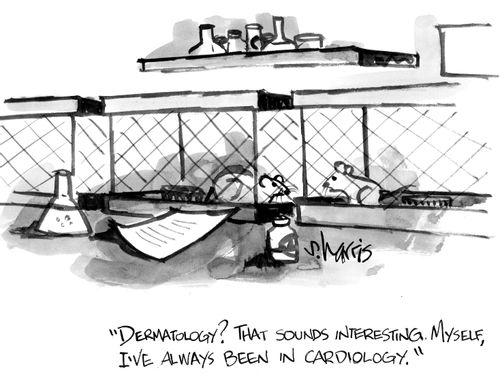 "Dermatology? That sounds interesting. Myself, I've always been in cardiology."