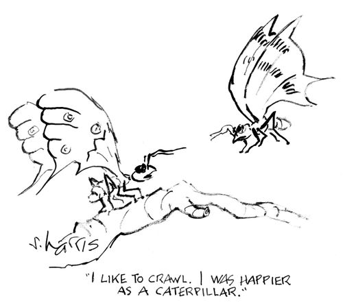 "I like to crawl. I was happier as a caterpillar."