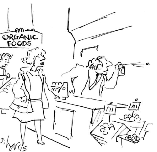 A man sprays a bug in an organic foods shop.