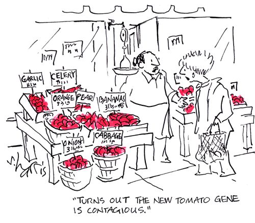 "Turns out the new tomato gene is contagious."
