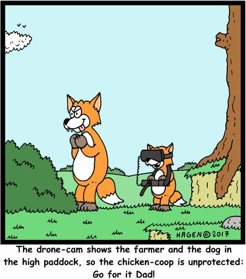 "The drone-cam shows the farmer and the dog in the high paddock, so the chicken-coop is unprotected: Go for it Dad!"