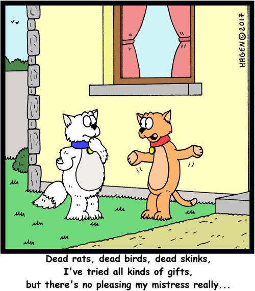 "Dead rats, dead birds, dead skinks, I've tried all kinds of gifts, but there's no pleasing my mistress really..."