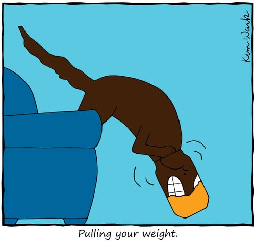 Pulling your weight.