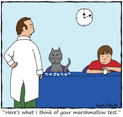 "Here's what I think of your marshmallow test."