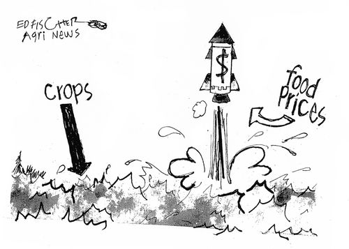 Crops fall as food prices increase.
