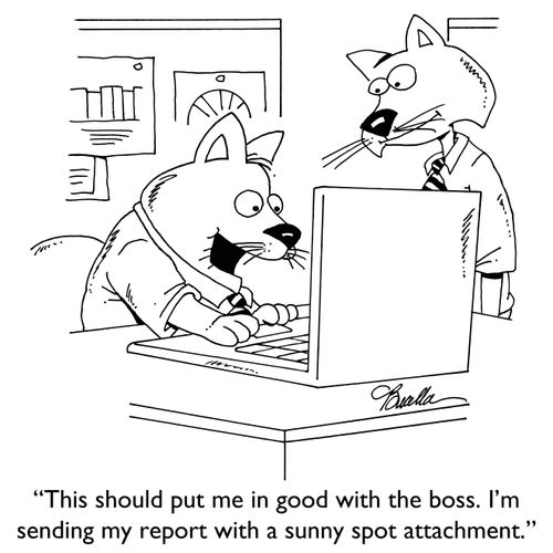 "This should put me in good with the boss. I' sending my report with a sunny spot attachment."