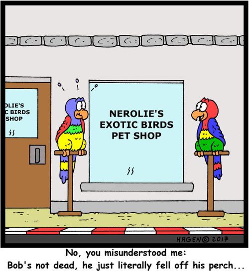 "No, you misunderstood me: Bob's not dead, he just literally fell off his perch..."