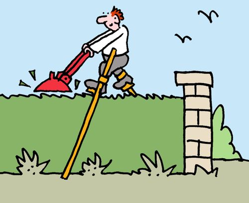 A man uses stilts to trim his hedges.